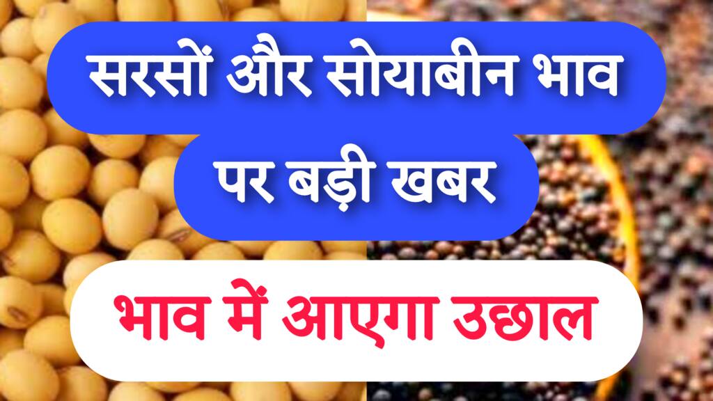 Mandi bhav